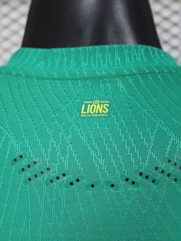 Sénégal ⭐️⭐️ extérieur 2025