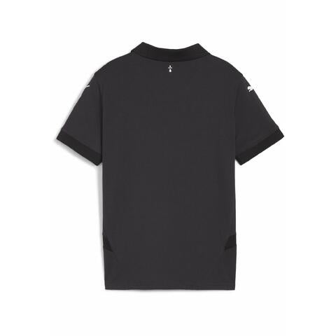 Stades Rennais (Rennes) third 2024-2025