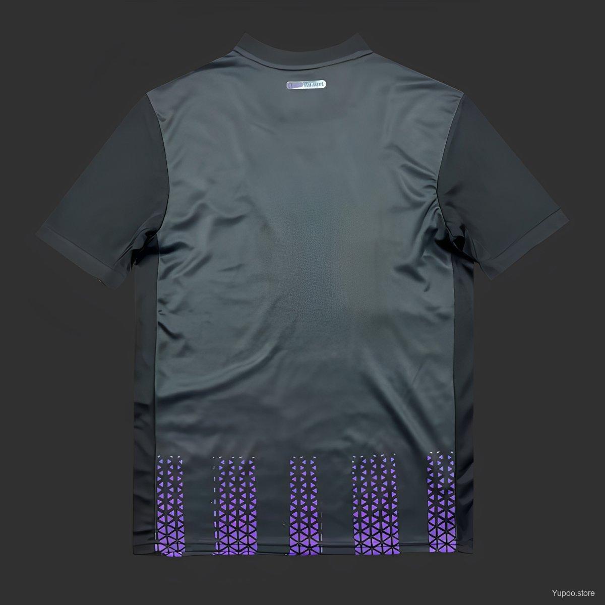 Toulouse third 2025-2026