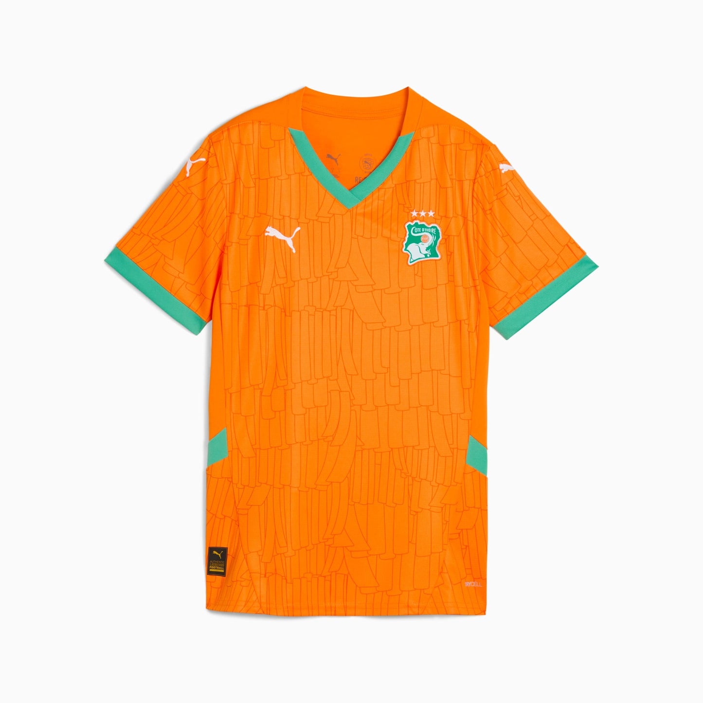 Côte d’Ivoire domicile 2024-2025