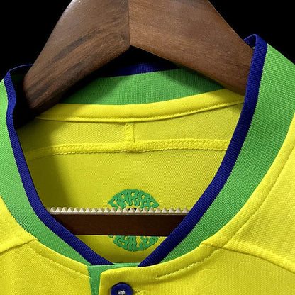 Brésil domicile 2023-2024