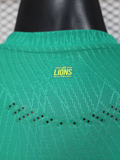 Sénégal ⭐️⭐️ extérieur 2025