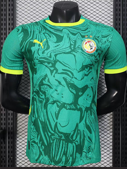 Sénégal ⭐️⭐️ extérieur 2025