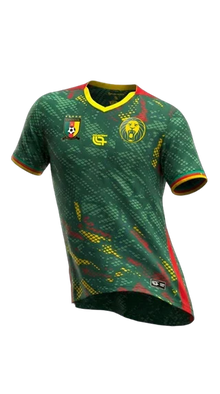 Cameroun domicile 2026-2027