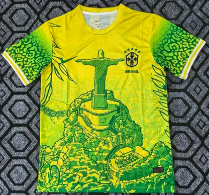 Brésil spécial 2025-2026 vert