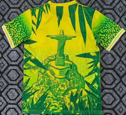 Brésil spécial 2025-2026 vert