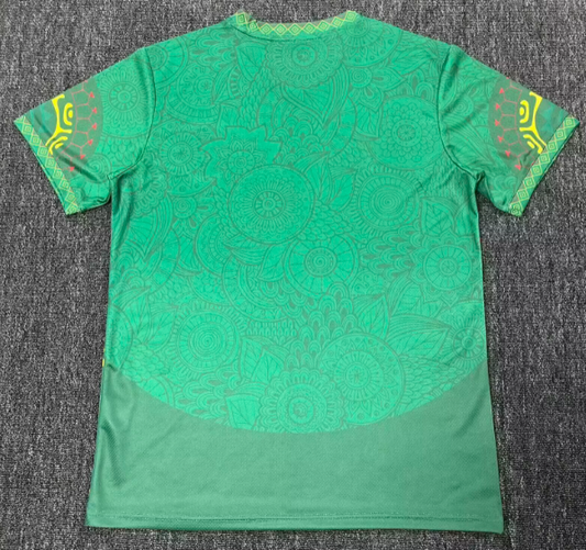 Mali training 2025-2026 vert