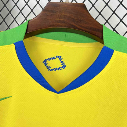 Brésil domicile 2025-2026