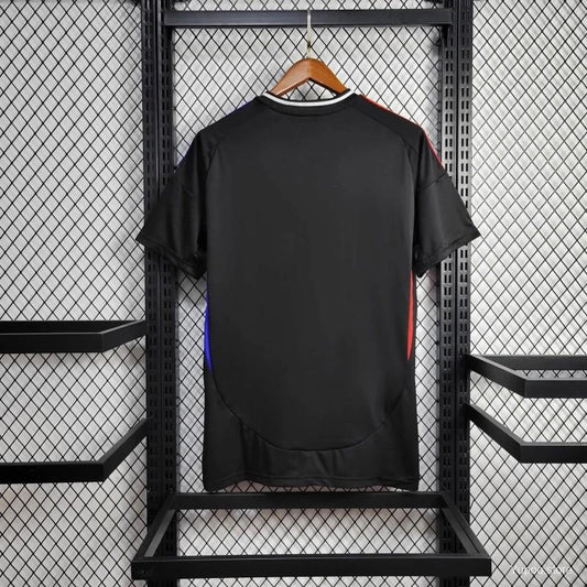 Lyon domicile 2024-2025